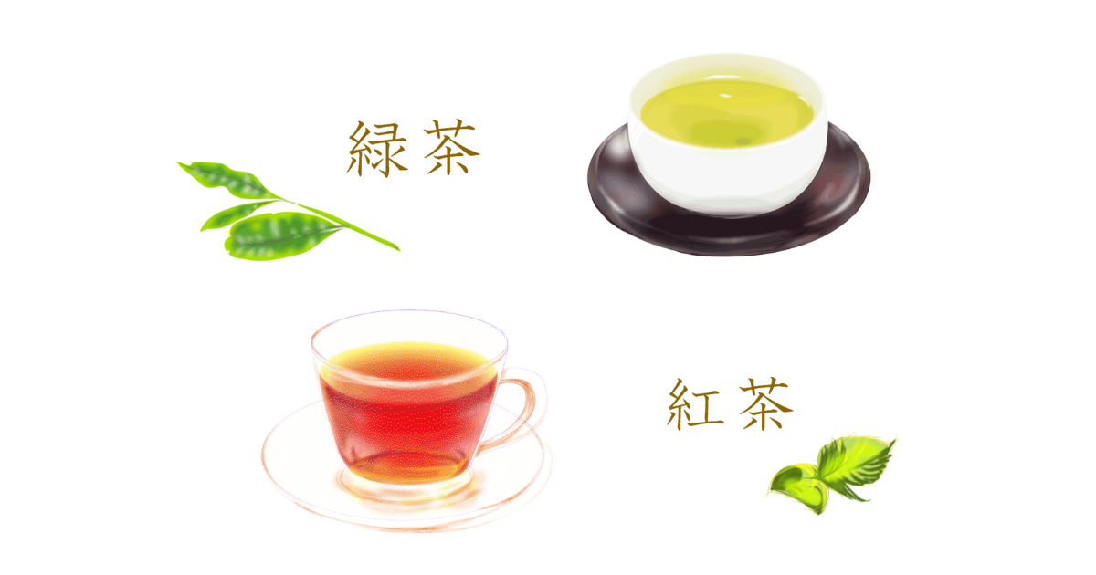 緑茶、紅茶
